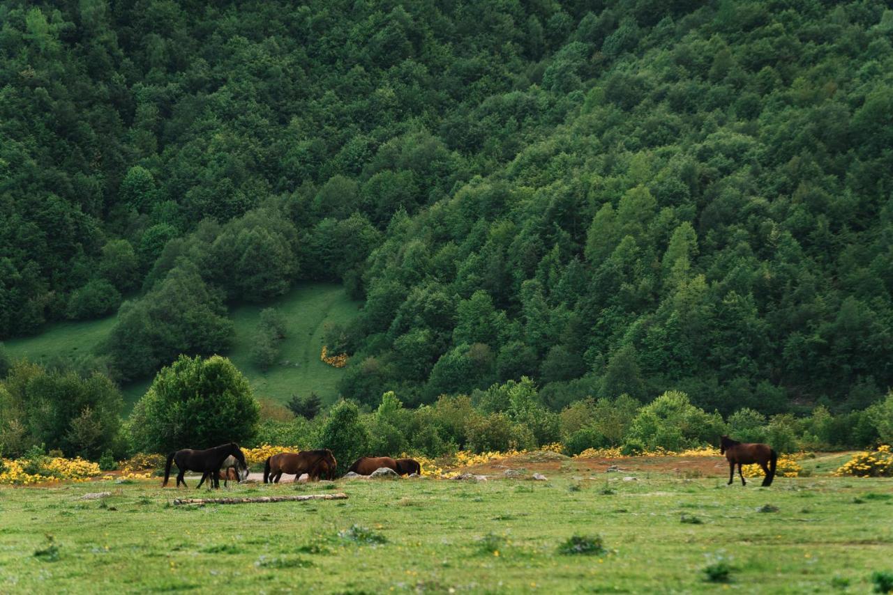 Panorama Ushba Mestia Exterior foto